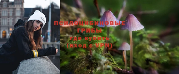 apvp Алзамай