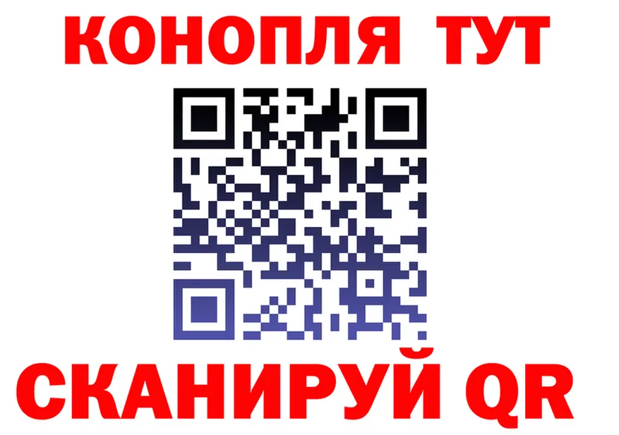 АМФ Premium ONION shop mega Ярославль