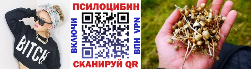 магазин продажи   Ярославль  OMG зеркало  Галлюциногенные грибы мухоморы 